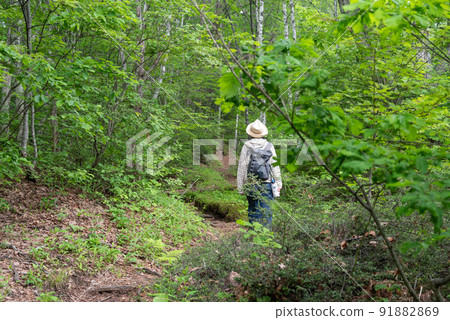 Norikura Kogen Ichinoseenchi 徒步路線 91882869