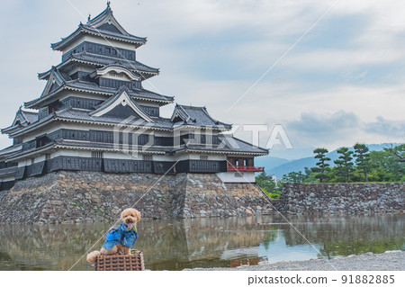 Matsumoto Castle and dog Matsumoto Castle and dog 91882885