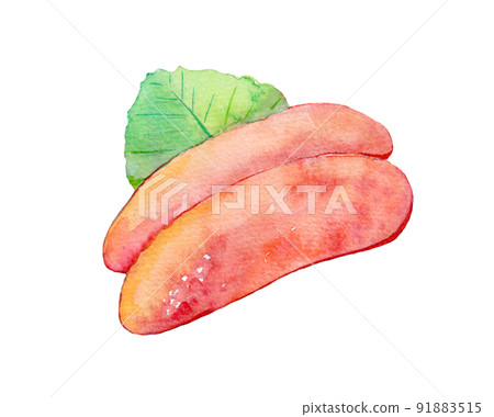 Water mustard mentaiko watercolor illustration 91883515