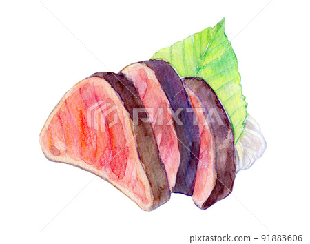 鰹魚 tataki 水彩插圖 鰹魚 tataki 水彩插圖 91883606
