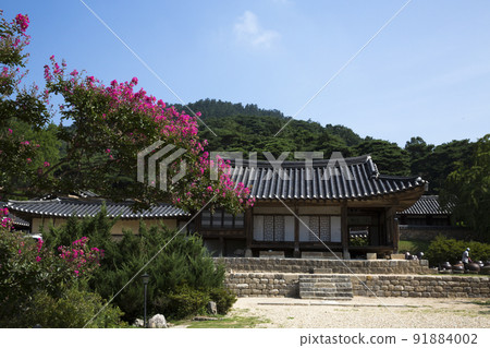 red barberry blossoms in ancient times red barberry blossoms in ancient times 91884002