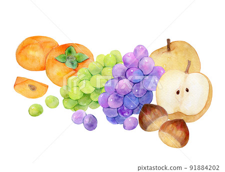秋天的味道水果集水彩插圖 91884202