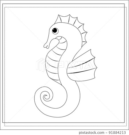 Page of the coloring book, seahorse. A sketch. Coloring book for kids. Vector Page of the coloring book, seahorse. A sketch. Coloring book for kids. Vector 91884213