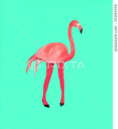 Contemporary art collage. Creative colorful design with pink flamingo in female legs isolated on green background Contemporary art collage. Creative colorful design with pink flamingo in female legs isolated on green background 91884456