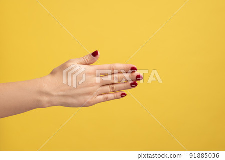 Closeup profile side view of woman showing the back of the hand, beautiful soft skin of female hand, handshake. Indoor studio shot isolated on yellow background. 91885036