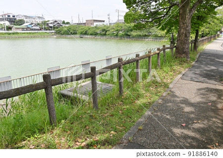 綠區大池 綠區大池 91886140