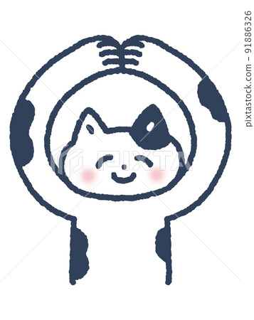 Cat in OK pose 91886326