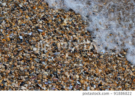 Sea shells on sand. Summer beach background. Top view 91886822