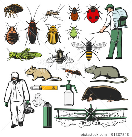 Pests control workers, insects and animals sketch icons. Exterminator in hazmat suit, spraying pesticides plane and man, flea, bedbug and cockroach, mosquito, fly and tick, locust, rat and mole, ant 91887848