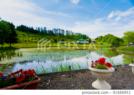 加拿大世界 91888951