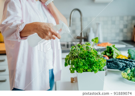Woman watering home indoor gardening on the kitchen. Pots of herbs with basil, parsley and thyme. Home planting and food growing. Sustainable lifestyle, plant-based foods. Selective focus. Copy space Woman watering home indoor gardening on the kitchen. Pots of herbs with basil, parsley and thyme. Home planting and food growing. Sustainable lifestyle, plant-based foods. Selective focus. Copy space 91889074
