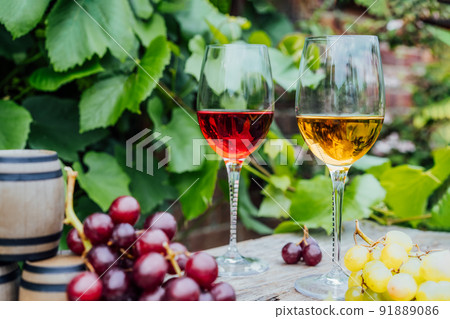 Winery concept. Glasses of white and red wine with miniature wine barrels on the wooden table with grape berries on background of vineyards. Wine tasting, Degustation. Selective focus, copy space. Winery concept. Glasses of white and red wine with miniature wine barrels on the wooden table with grape berries on background of vineyards. Wine tasting, Degustation. Selective focus, copy space. 91889086
