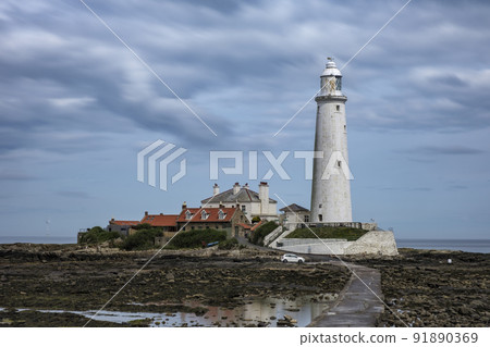 Wide shot of St Marys Lighthouse near Newcastle Wide shot of St Marys Lighthouse near Newcastle 91890369