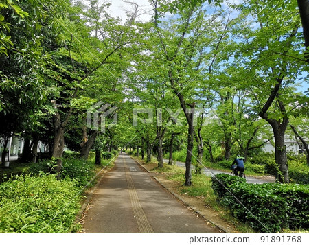 茨城縣筑波市筑波公園通 茨城縣筑波市筑波公園通 91891768