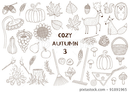 A set of decorative elements. Autumn, forest animals. Crops, forests, animals. Design collection of outline doodles. Black and white vector illustration. Isolated on a white background. A set of decorative elements. Autumn, forest animals. Crops, forests, animals. Design collection of outline doodles. Black and white vector illustration. Isolated on a white background. 91891965