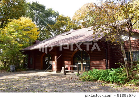 Zama City Prefectural Zama Yatoyama Park Log House and Autumn Leaves 91892676