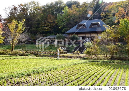 座間市立座間夜山公園里山體驗中心和紅葉 91892678