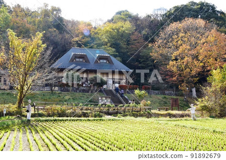 Zama City Prefectural Zama Yatoyama Park Satoyama Experience Center and Autumn Leaves 91892679