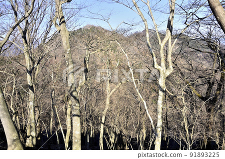 Kegonyama on the left and Kyogatake on the right from Mt. Ogino Takatori in the Sagami Alps of Tanzawa Kegonyama on the left and Kyogatake on the right from Mt. Ogino Takatori in the Sagami Alps of Tanzawa 91893225