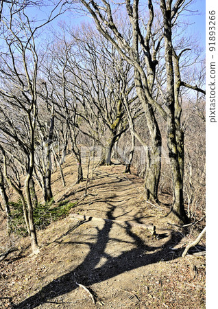 丹澤京嶽山道從北華山到京岳垂直路線 91893266