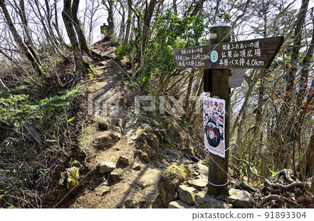 關東親友道丹澤北華山山頂 91893304