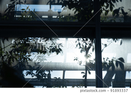 Greenhouse windows and machinery, a well-equipped environment, temperate plants to enjoy in Tokyo, artificial research purposes 91893337