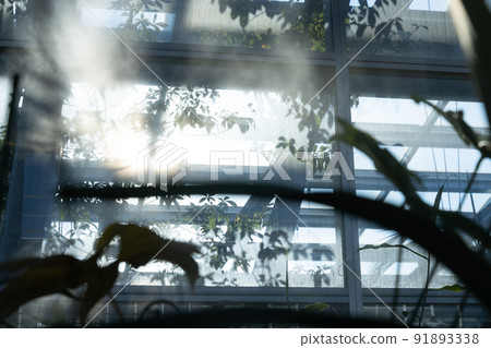 溫室窗戶和機械，設備齊全的環境，在東京享受溫帶植物，人工研究目的 91893338