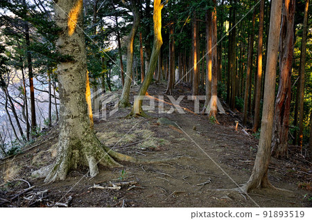 丹澤的相模阿爾卑斯南嶺菅谷秋葉山登山道 91893519