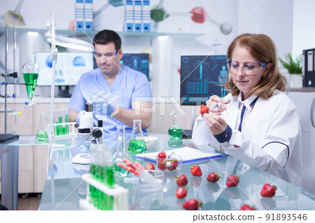 Biologist woman studying strawberries in a research lab. Scientist man working in the background. 91893546