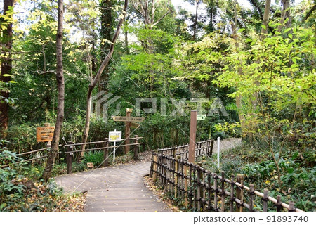 Zama City Prefectural Zama Yatoyama Park Walking Path and Directions 91893740