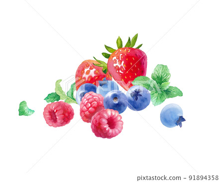 3 種漿果的水彩插圖。覆盆子、草莓、藍莓和薄荷的集合。 91894358