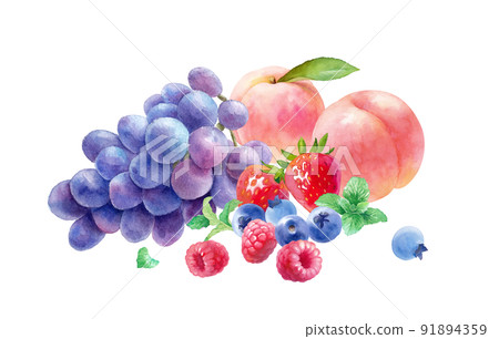 Watercolor illustration of 3 kinds of fresh berries, peaches and grapes. (Vector. Layout can be changed) 91894359