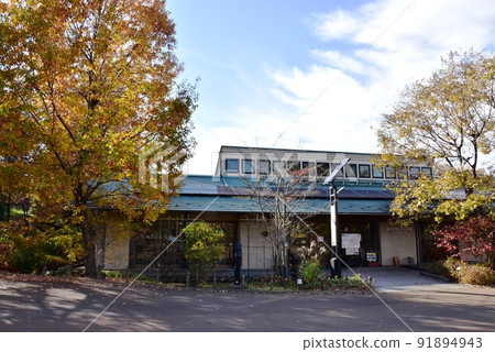 Zama City Prefectural Zama Yatoyama Park Park Center (Management Office) and Autumn Leaves 91894943
