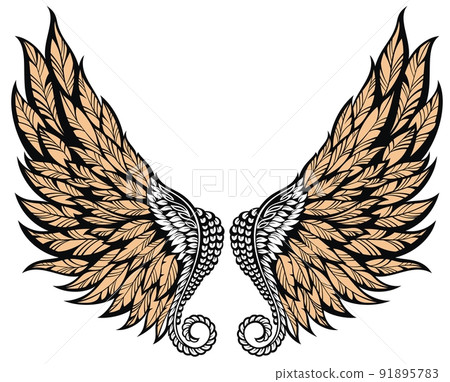 Angel wings isolated on white background Angel wings isolated on white background 91895783