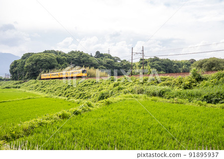 【北星線】路堤上行駛的列車 【北星線】路堤上行駛的列車 91895937
