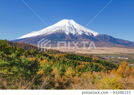 Mt. Fuji and autumn leaves seen from the 20th song pass at Oshino Village, Minamitsuru District, Yamanashi Prefecture 91896155