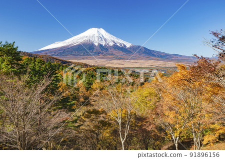 Mt. Fuji and autumn leaves seen from the 20th song pass at Oshino Village, Minamitsuru District, Yamanashi Prefecture 91896156