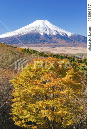 Mt. Fuji and autumn leaves seen from the 20th song pass at Oshino Village, Minamitsuru District, Yamanashi Prefecture 91896157