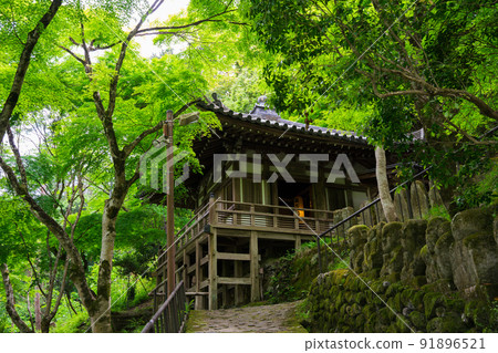京都愛宕念佛寺的地藏堂和千次百樂館新鮮綠色 91896521