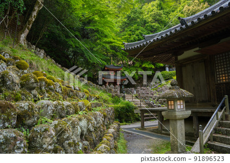 京都愛宕念佛寺 1,200 洛新鮮綠 91896523