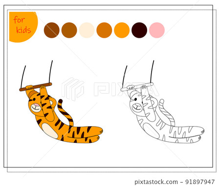 coloring book for children by colors. tiger in the circus coloring book for children by colors. tiger in the circus 91897947