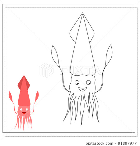 Page of the coloring book, squid. Sketch and color version. Coloring book for kids. Vector 91897977