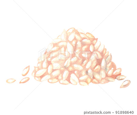 Heap of shelled sunflower seeds. Watercolor illustration. Isolated on a white background. For design Heap of shelled sunflower seeds. Watercolor illustration. Isolated on a white background. For design 91898640
