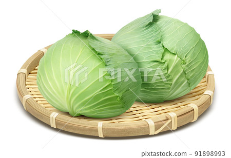 Cabbage illustration real set Cabbage illustration real set 91898993