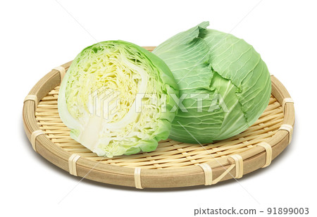 Cabbage illustration real set 91899003
