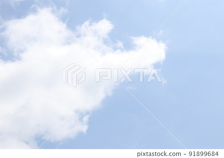 蜘蛛雲 91899684