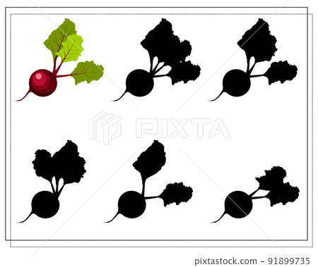 puzzle game for kids find the right shadow, beetroot. vector isolated on a white background. puzzle game for kids find the right shadow, beetroot. vector isolated on a white background. 91899735