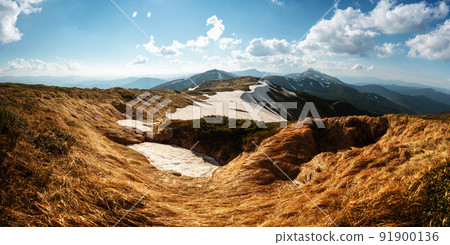 View of the grassy hills View of the grassy hills 91900136
