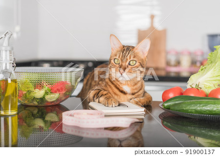 Funny cat, fresh vegetables, salad dish and measuring tape. 91900137