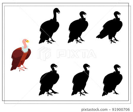 a game for preschool children. find the right shadow. Vulture, bird. Vector illustration a game for preschool children. find the right shadow. Vulture, bird. Vector illustration 91900706